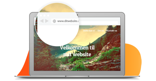 hvad-er-et-domaene